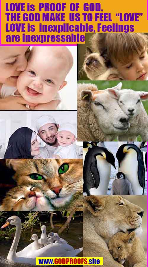 Proofs and Evidences of God, God exists proofs, God is real proofs and evidences, Proofs of God's existance