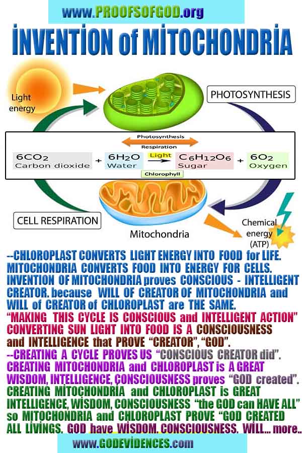 Proofs and Evidences of God, God exists proofs, God is real proofs and evidences, Proofs of God's existance