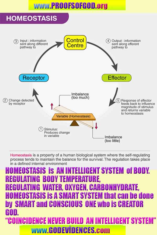 Proofs and Evidences of God, God exists proofs, God is real proofs and evidences, Proofs of God's existance